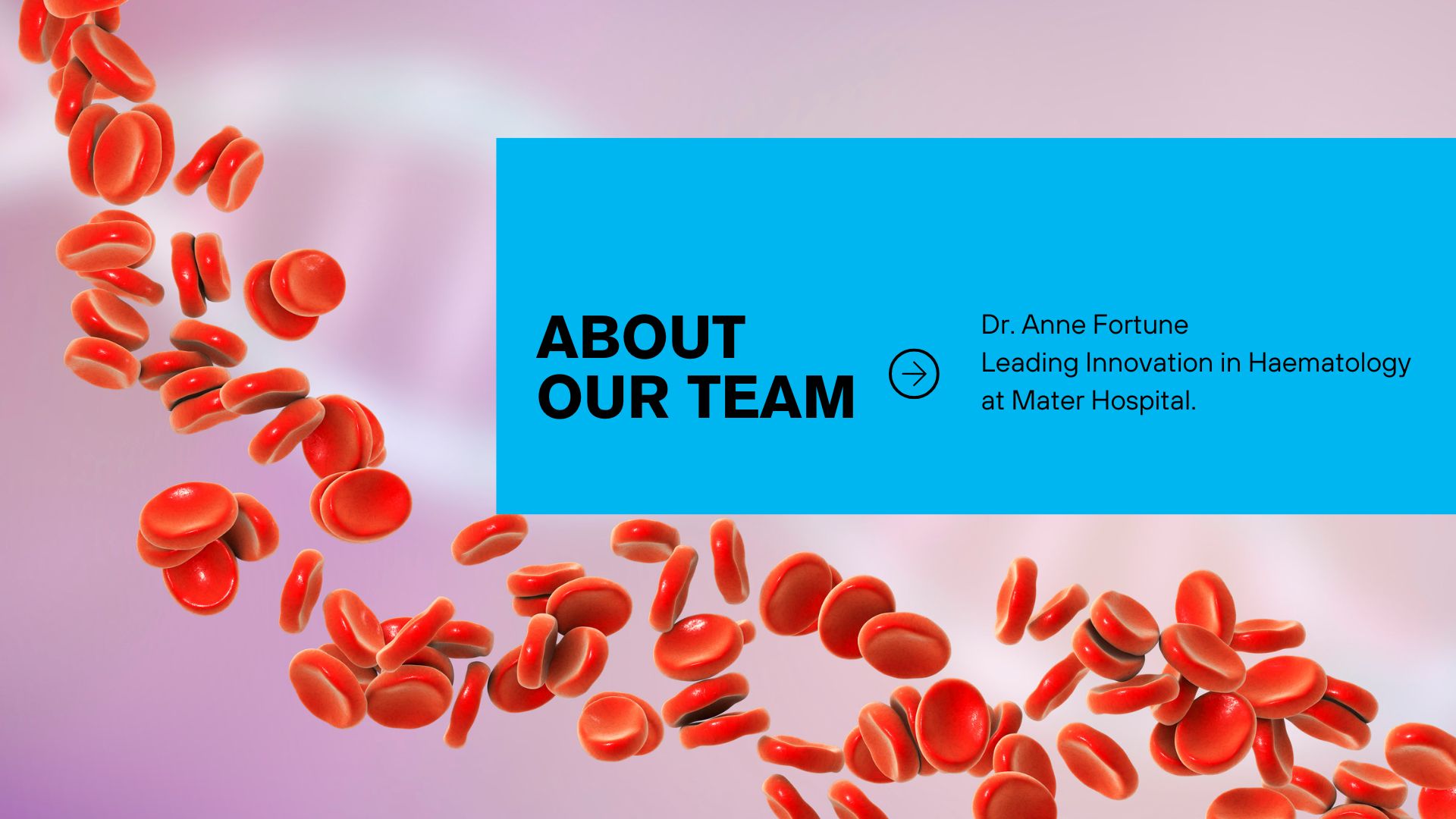 Banner for team member Anne Fourtune